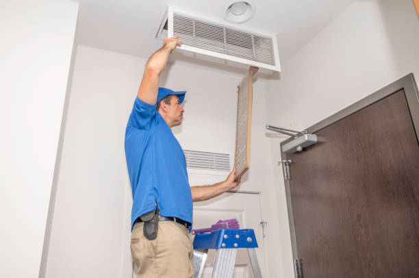 Best Professional Duct Cleaning Services  in Olean, NY